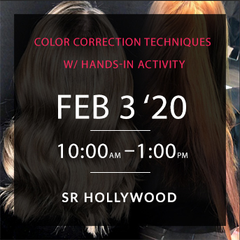 Salon Republic Hollywood Color Correction Hands-in Activity Class