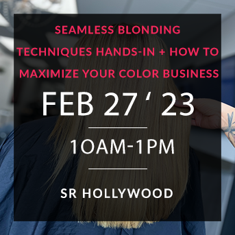 Los Angeles Blonding and Color Business Class